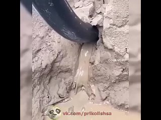 favorite humor | @videfunny