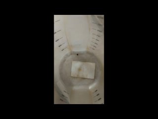 video by is overheard a great ustyug