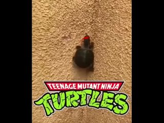 clip @videfunny | @videfunny