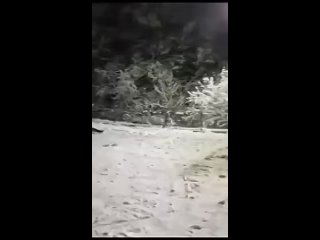 clip @videfunny | @videfunny
