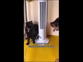 video from @videfunny | @videfunny